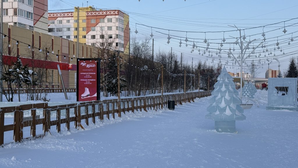 EVA оценила эффективность сети LED-пилонов в Новом Уренгое
